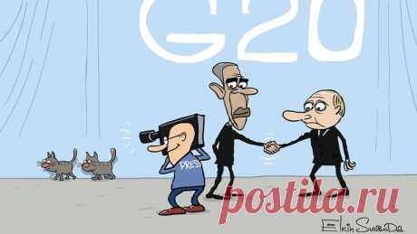 Оборотни в погонах? Коты с лёгкостью проникли на саммит G20