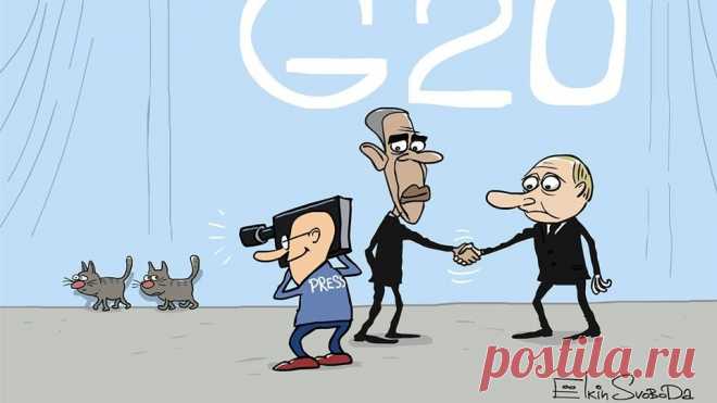 Оборотни в погонах? Коты с лёгкостью проникли на саммит G20
