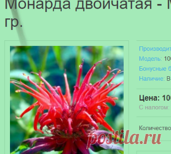 Монарда двойчатая - Monarda didyma L. Семена. 10 гр.