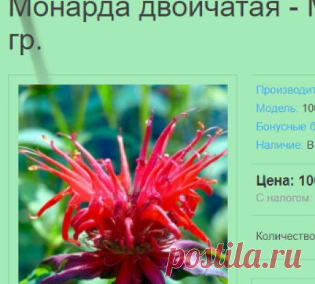 Монарда двойчатая - Monarda didyma L. Семена. 10 гр.