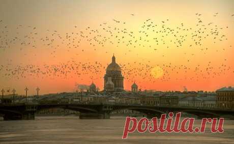 Рассветы и закаты Северной столицы… Восхищайтесь;)) — Фотоискусство