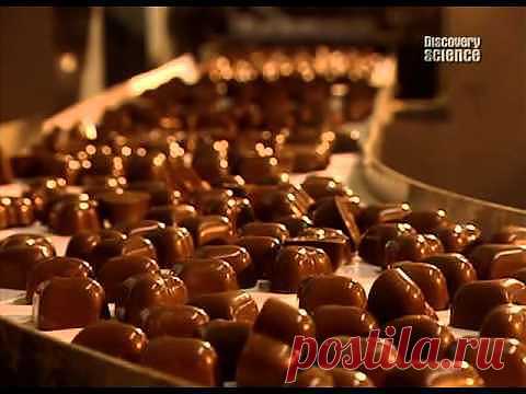 Как делают шоколадные конфеты | Домохозяйка