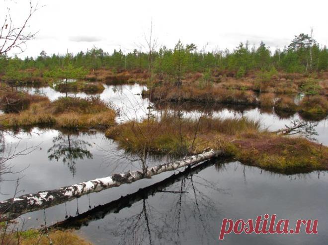 Тверская область, октябрь 2011