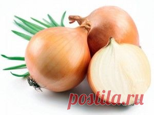 Чем полезна луковая шелуха | Азбука здоровья