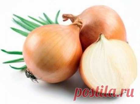 Чем полезна луковая шелуха | Азбука здоровья
