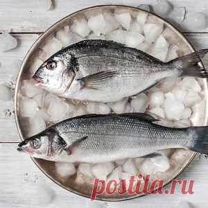 Как лучше размораживать рыбу, чтобы приготовить ее быстро и вкусно? - МирТесен