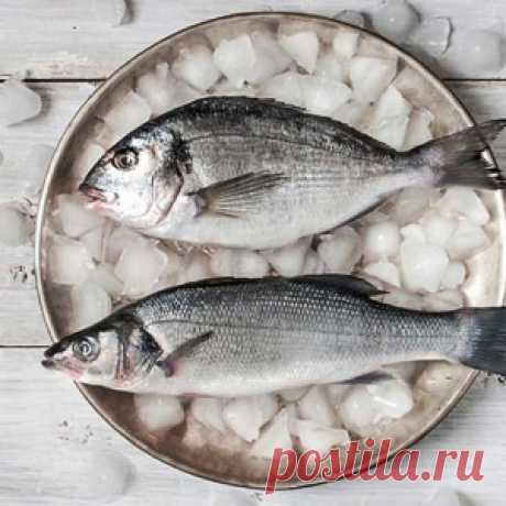 Как лучше размораживать рыбу, чтобы приготовить ее быстро и вкусно? - МирТесен