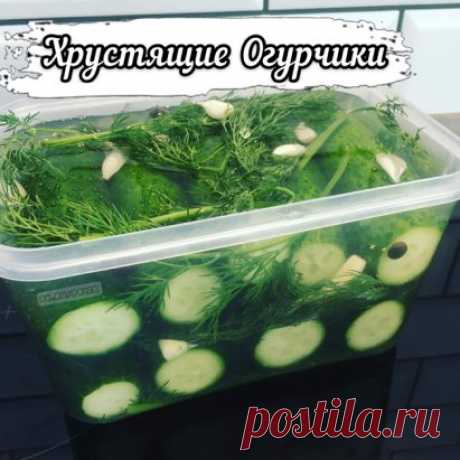 Малосольные хрустящие огурчики🤗 проще простого 
кипятим воду и добавляем соль из расчета 1 ст. ложка без бугорка на 0,5 литра воды. При желании можно добавить душистый перец горошком и гвоздику. Остужаем!
огурцы моем, срезаем попки. Укладываем в ёмкость перекладывая слои укропом и чесноком 🧄 чем больше, тем вкуснее.
заливаем рассолом и через пару часов убираем в холодильник. На следующий день огурцы 🥒 готовы🤗
P.s. Если гости у порога и огурчики должны быть на столе через пару часо