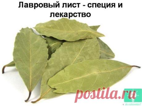 (46) Одноклассники
