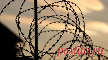 В Польше супругов-россиян приговорили к семи и трём годам лишения свободы. Суд польского города Сосновец приговорил супругов-россиян Игоря Р. и Ирину Р. к семи и трём годам лишения свободы. Читать далее