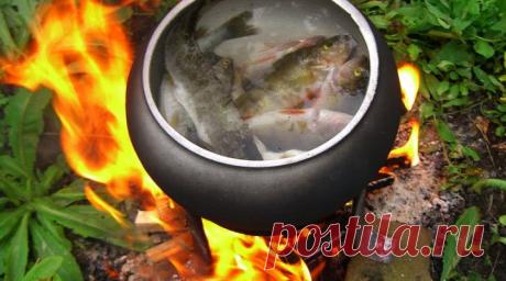 Секреты приготовления ухи. Рецепт ухи «Русская» | Женские штучки