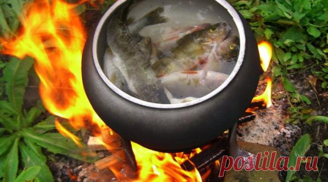 Секреты приготовления ухи. Рецепт ухи «Русская» | Женские штучки