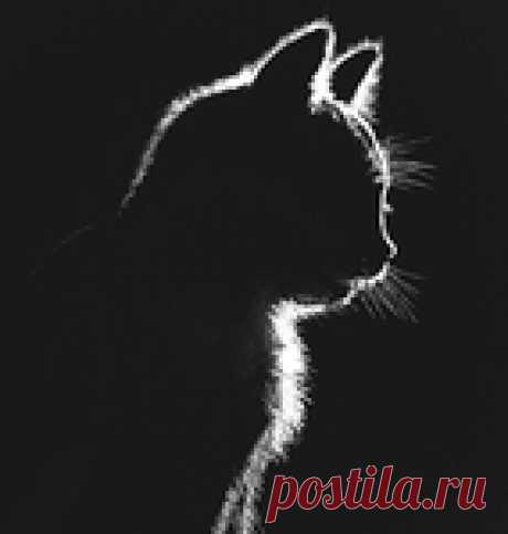 Колдуны по- белорусски...