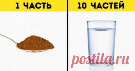 11 ошибок, из-за которых кофе не получается по-настоящему вкусным Согласно данным Международной организации по кофе (International Coffee Organization), уровень потребления этого напитка стабильно увеличивается на 2 % в год. Но приготовление действительно вкусного и ароматного кофе — это настоящее искусство, которым, однако, не так сложно овладеть, если знать основные правила. Прежде всего, при покупке стоит понюхать кофейные зерна. Запах гари, запах плесени, слишком слабы...