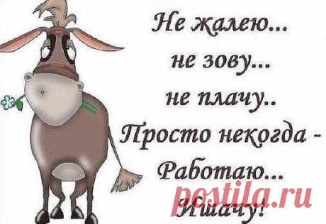 (3) Одноклассники