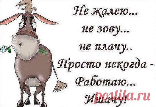 (3) Одноклассники