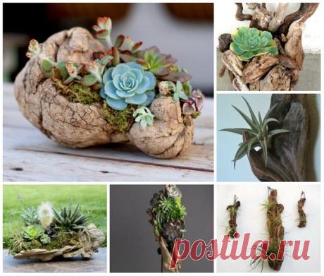 Pinterest: discover and save creative ideas