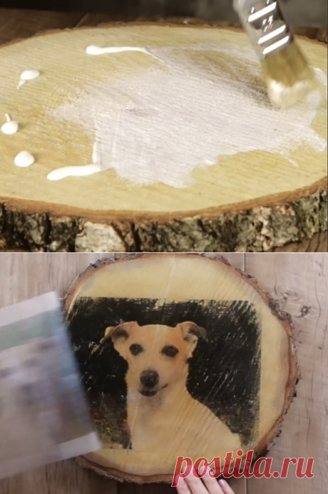 Он вылил крем для загара на кусок дерева и уже через 10 минут замер от восторга!