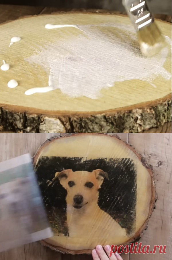 Он вылил крем для загара на кусок дерева и уже через 10 минут замер от восторга!