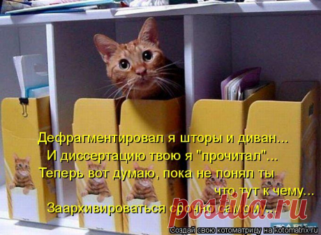 Котоматрица: Случайные котоматрицы