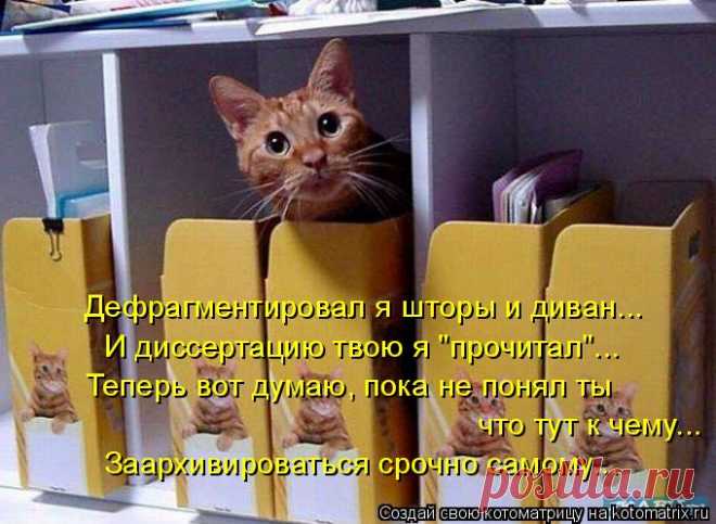 Котоматрица: Случайные котоматрицы