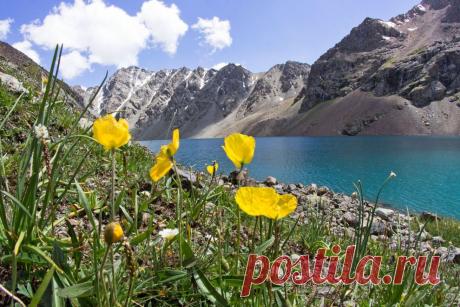 Горное озеро | National Geographic Россия