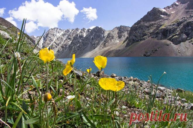 Горное озеро | National Geographic Россия