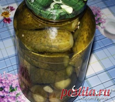 Необычно.ХРУСТЯЩИЕ ОГУРЧИКИ от Марьяши