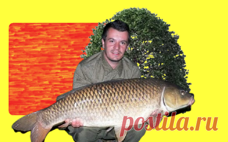 Пол ведра карасей с помощью плавленого сыра | О рыбалке 🎣 | Яндекс Дзен