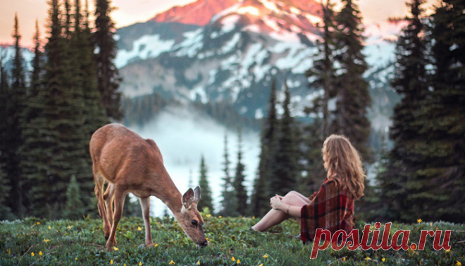 Правила, которые буквально затащат счастье в твою жизнь