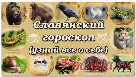 Славянский звериный гороскоп по дате рождения.Характер по дню недели Родиться в среду или субботу, есть ли разница?