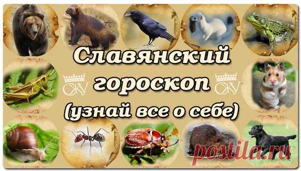 Славянский звериный гороскоп по дате рождения.Характер по дню недели Родиться в среду или субботу, есть ли разница?