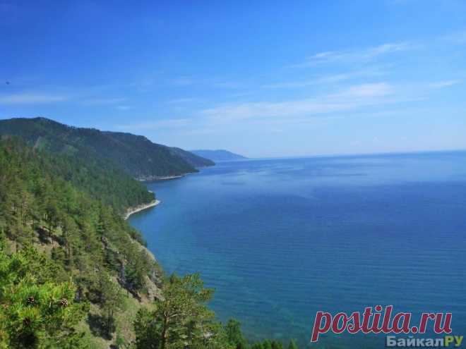 Большие коты фото — Байкал