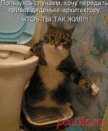 Вот так и живем...