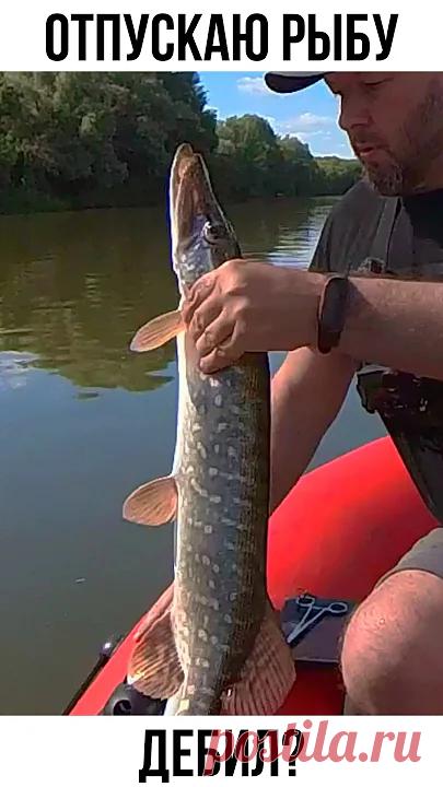 КТО РЫБУ ОТПУСКАЕТ не ЗНАЕТ об ЭТОМ! 🤣🤣🤣 #рыбалка #ловлящуки #ржака Стоит ли отпускать пойманную рыбу? А вы отпускаете рыбу? Принцип - 