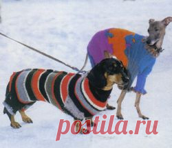 Комбинезоны для собак