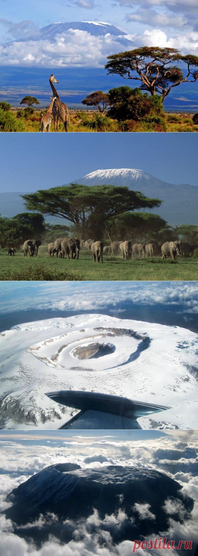 (+1) тема - Парящая в облаках! | УДИВИТЕЛЬНОЕ