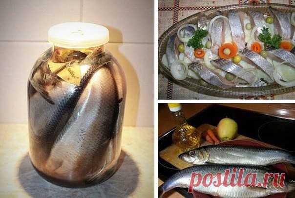(4) Одноклассники