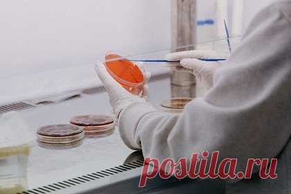 Сотни туристов заразились в Турции опасной кишечной инфекцией. Сотни туристов из Великобритании приехали из Турции с сальмонеллезом с начала 2023 года. С середины января по 19 июля Агентство по безопасности здравоохранения Великобритании зафиксировало почти 250 случаев заражения опасной кишечной инфекцией у британцев, вернувшихся с турецких курортов, в основном из Антальи.