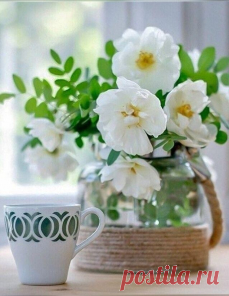 i (638×824)