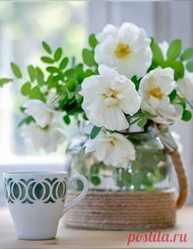 i (638×824)