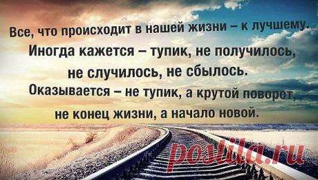 НЕРЖАВЕЮЩАЯ МУДРОСТЬ | 150 фотографий