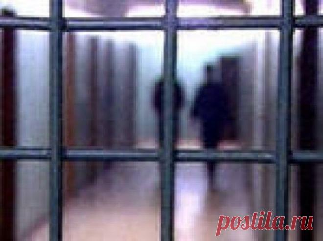 Предложения об объявлении амнистии к 20-летию Конституции