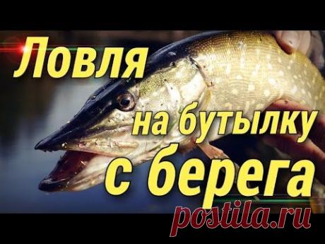 Бутылка-закидушка. Налим, щука, судак. Видео