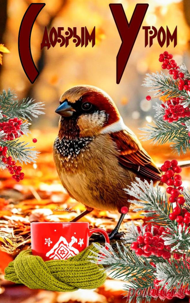 С добрым утром