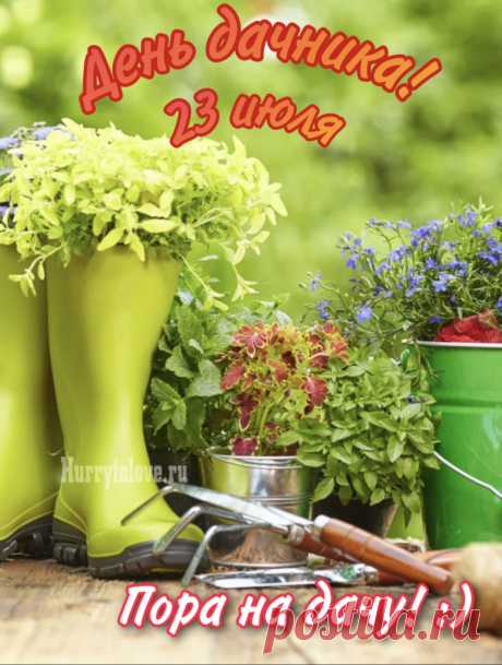 В День дачника желаю урожаев!
Желаю я средь зелени, прохлады
Пожарить шашлычок в кругу друзей
И ощутить, что дача — все, что надо,
Что это колыбель мечты твоей!