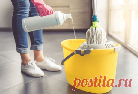 Секреты клининговых компаний: геометрия уборки, меламиновые губки, пар для щелей, мойки и плиты