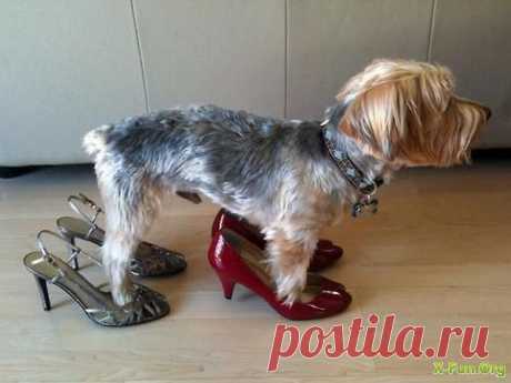 Вот я и готова...