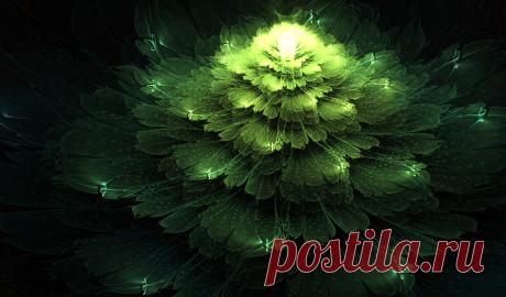Swamp Flower. by Kondratij on DeviantArt