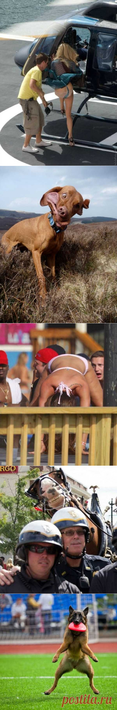 45 Perfectly Timed Photos | KLYKER.COM